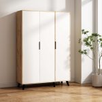 Плакар - Рио